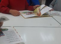 img (18)